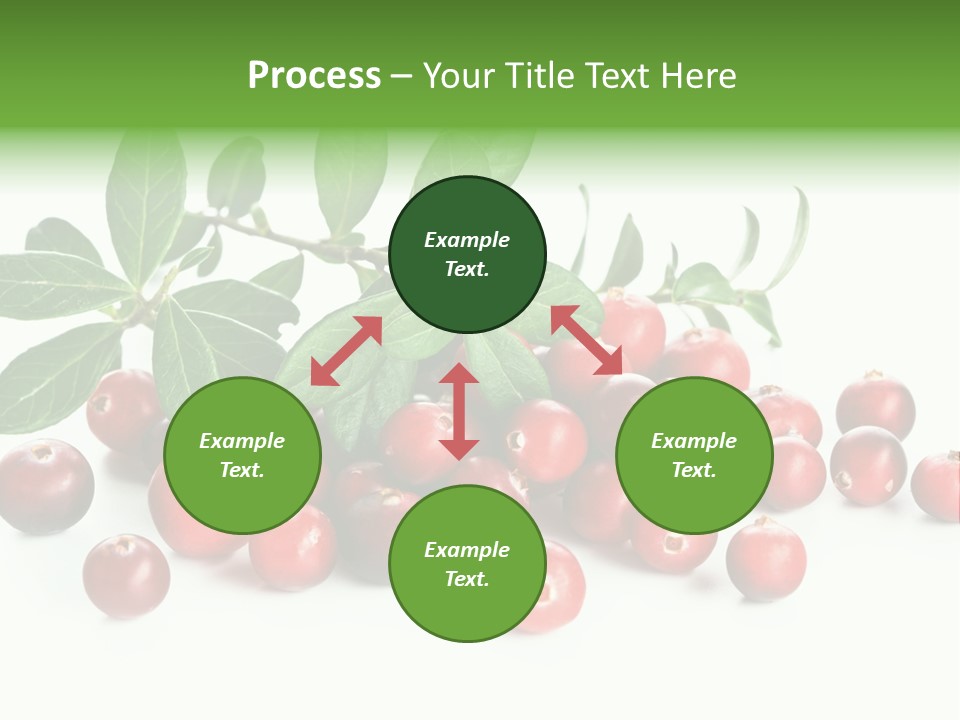 Cranberry Eating Ingredient PowerPoint Template