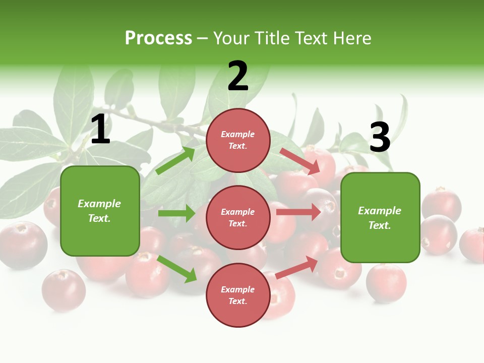 Cranberry Eating Ingredient PowerPoint Template