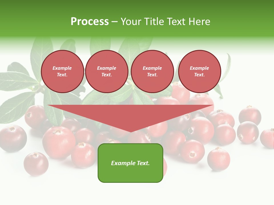 Cranberry Eating Ingredient PowerPoint Template