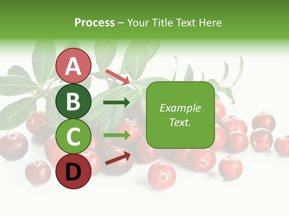 Cranberry Eating Ingredient PowerPoint Template