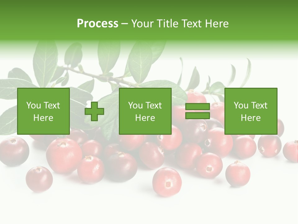 Cranberry Eating Ingredient PowerPoint Template