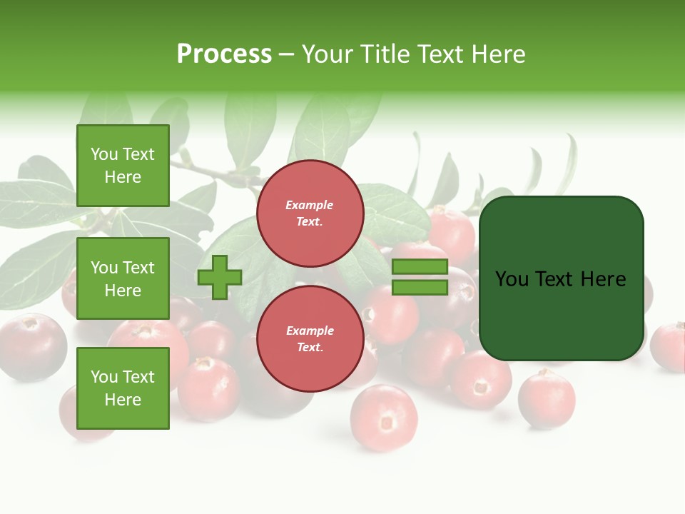 Cranberry Eating Ingredient PowerPoint Template