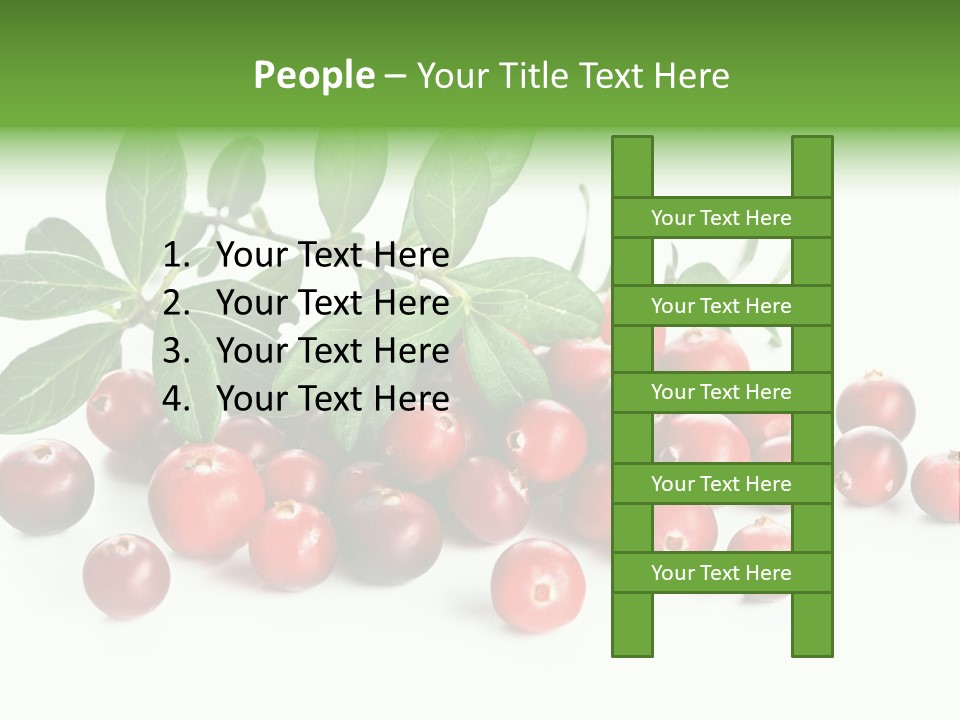 Cranberry Eating Ingredient PowerPoint Template
