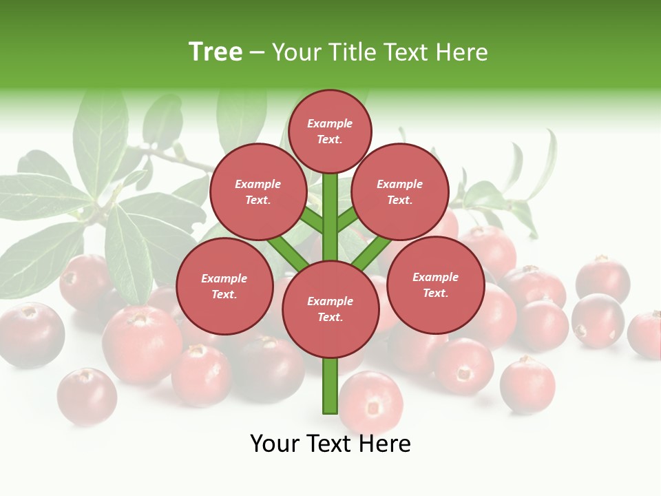 Cranberry Eating Ingredient PowerPoint Template