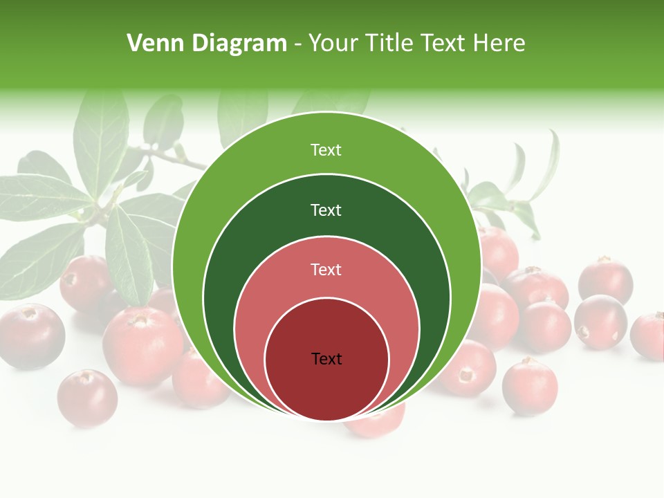 Cranberry Eating Ingredient PowerPoint Template