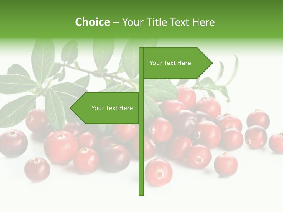 Cranberry Eating Ingredient PowerPoint Template