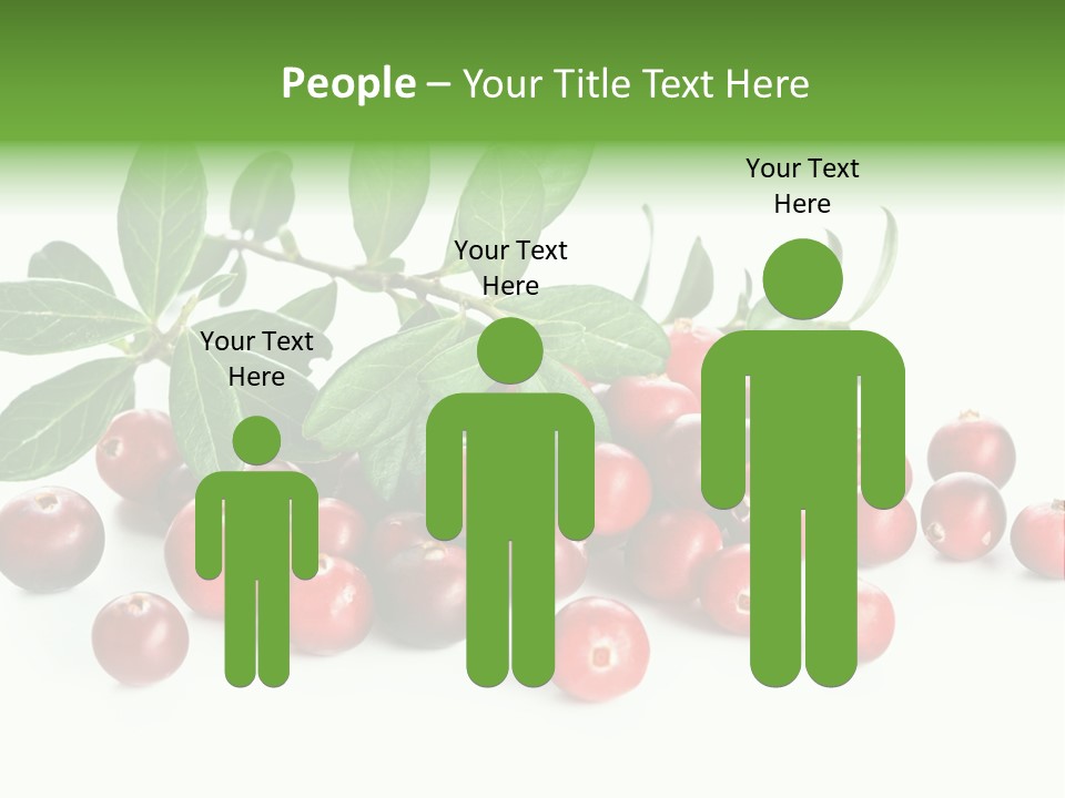 Cranberry Eating Ingredient PowerPoint Template