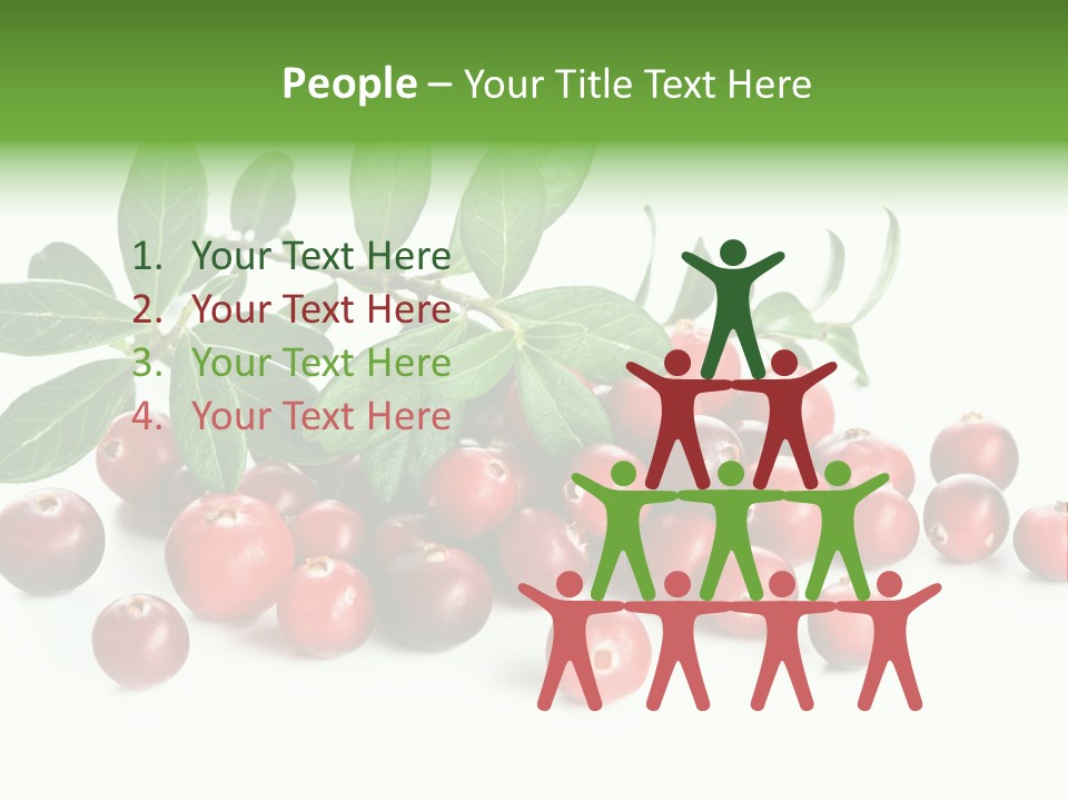 Cranberry Eating Ingredient PowerPoint Template