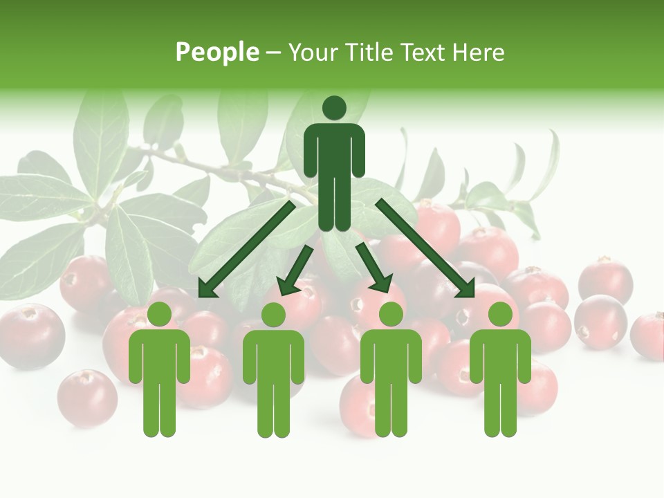 Cranberry Eating Ingredient PowerPoint Template