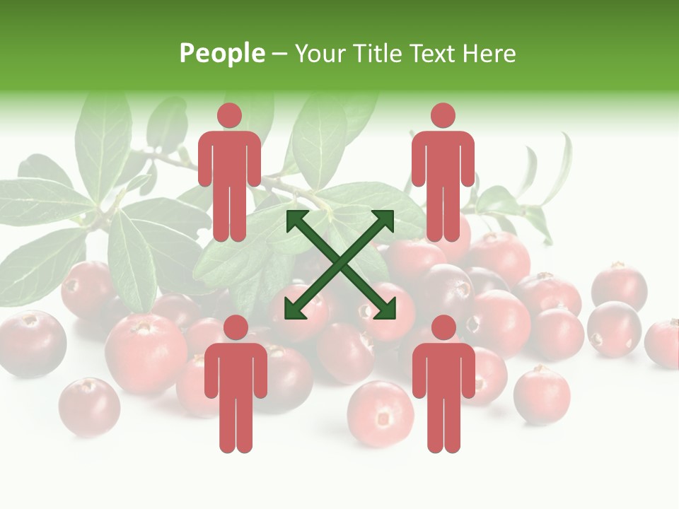 Cranberry Eating Ingredient PowerPoint Template