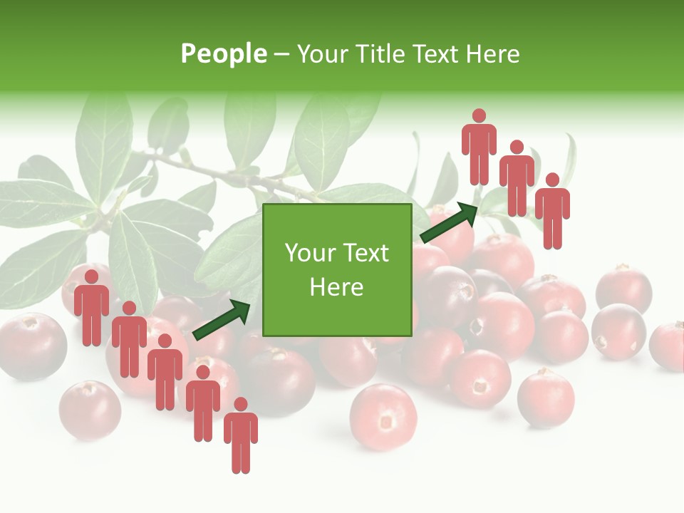Cranberry Eating Ingredient PowerPoint Template