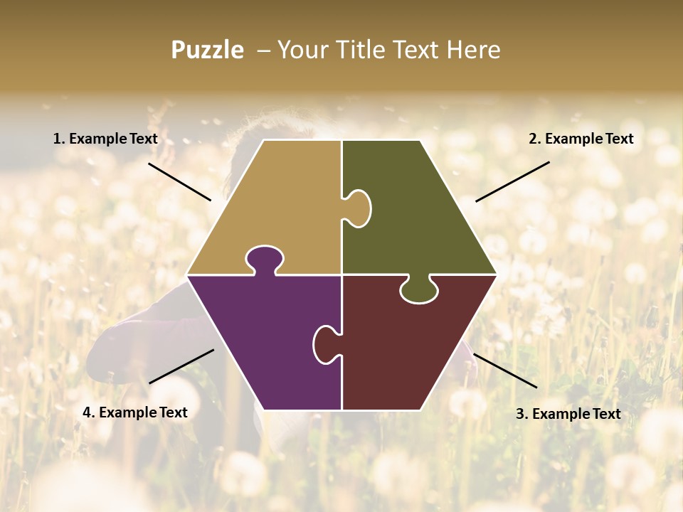 Hawkbit Allergy Happiness PowerPoint Template