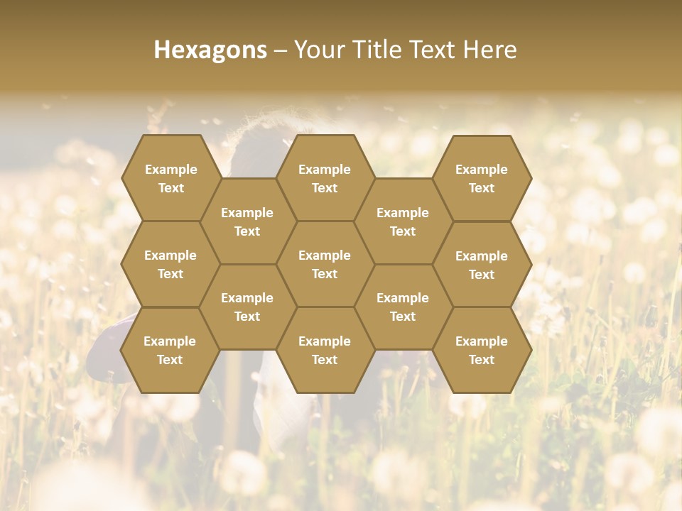 Hawkbit Allergy Happiness PowerPoint Template