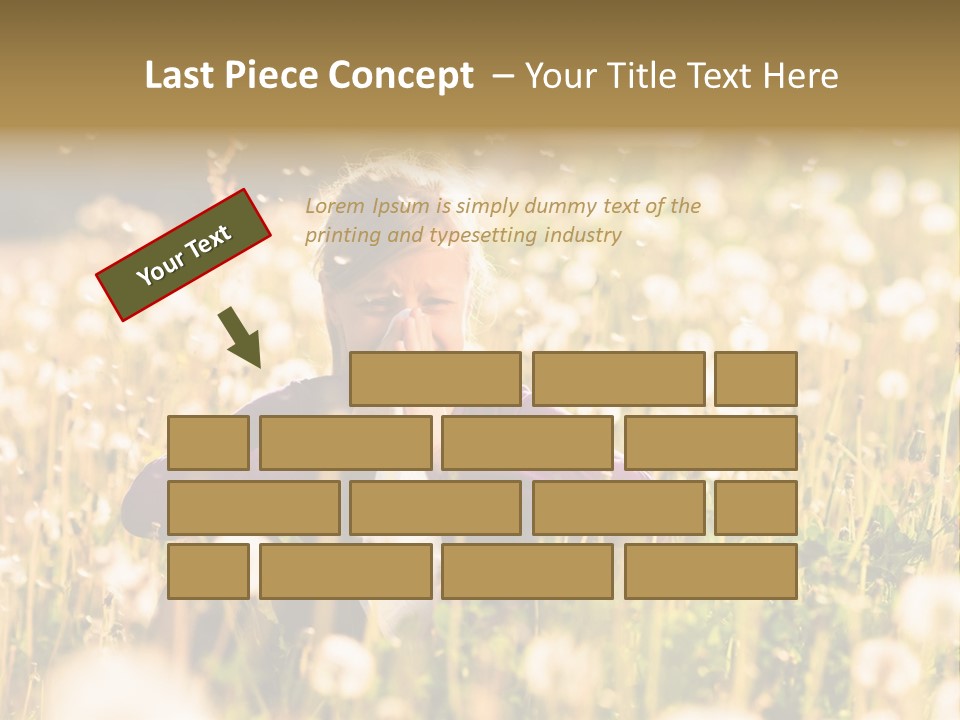 Hawkbit Allergy Happiness PowerPoint Template