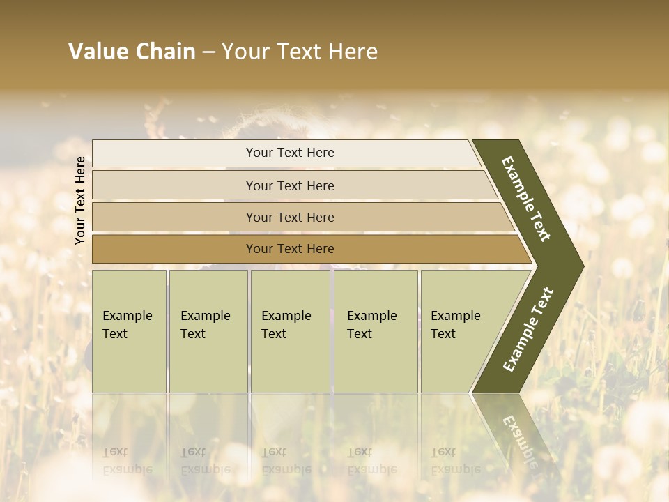 Hawkbit Allergy Happiness PowerPoint Template