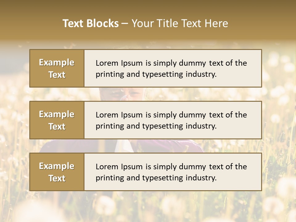 Hawkbit Allergy Happiness PowerPoint Template