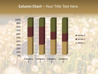 Hawkbit Allergy Happiness PowerPoint Template