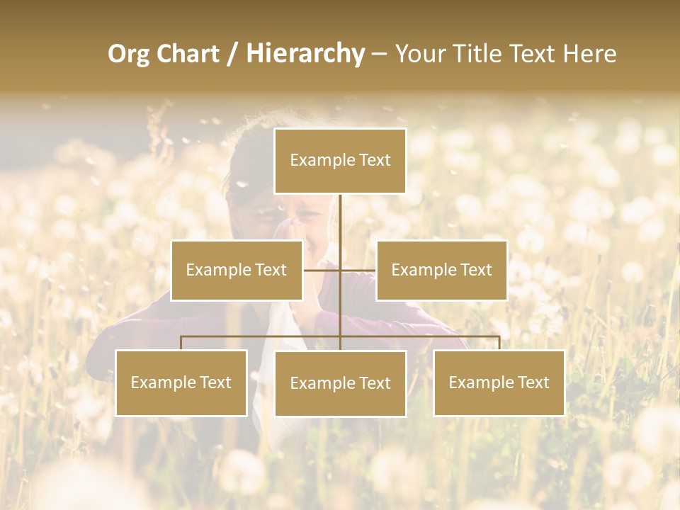 Hawkbit Allergy Happiness PowerPoint Template