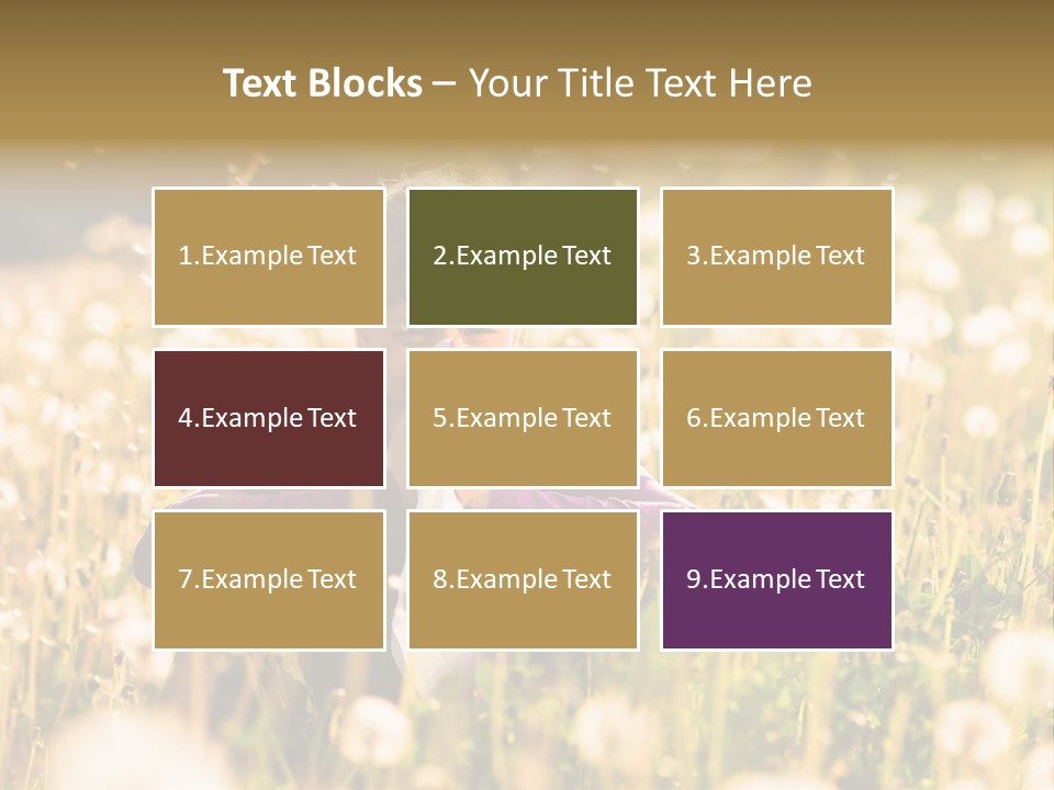 Hawkbit Allergy Happiness PowerPoint Template