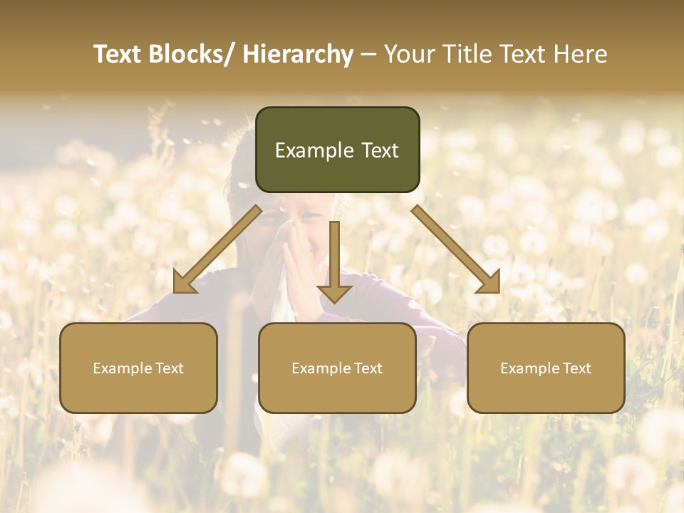 Hawkbit Allergy Happiness PowerPoint Template