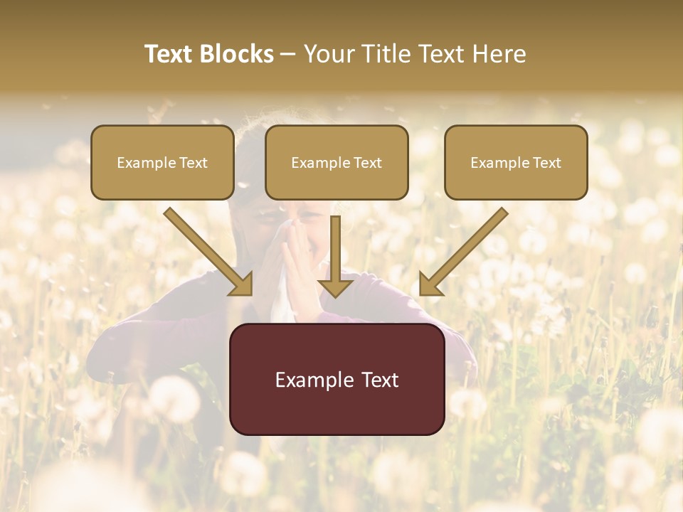 Hawkbit Allergy Happiness PowerPoint Template