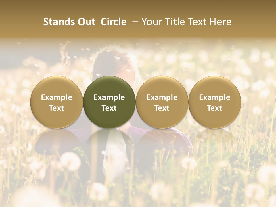 Hawkbit Allergy Happiness PowerPoint Template