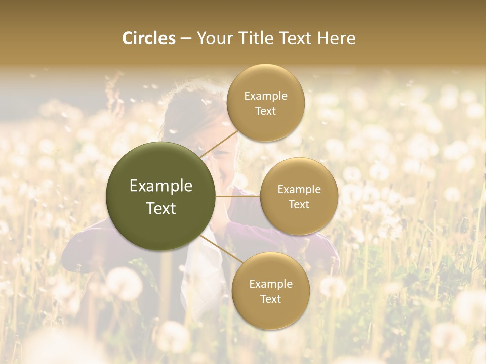 Hawkbit Allergy Happiness PowerPoint Template