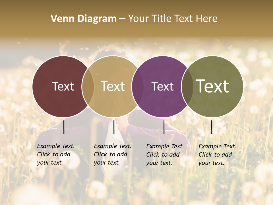 Hawkbit Allergy Happiness PowerPoint Template