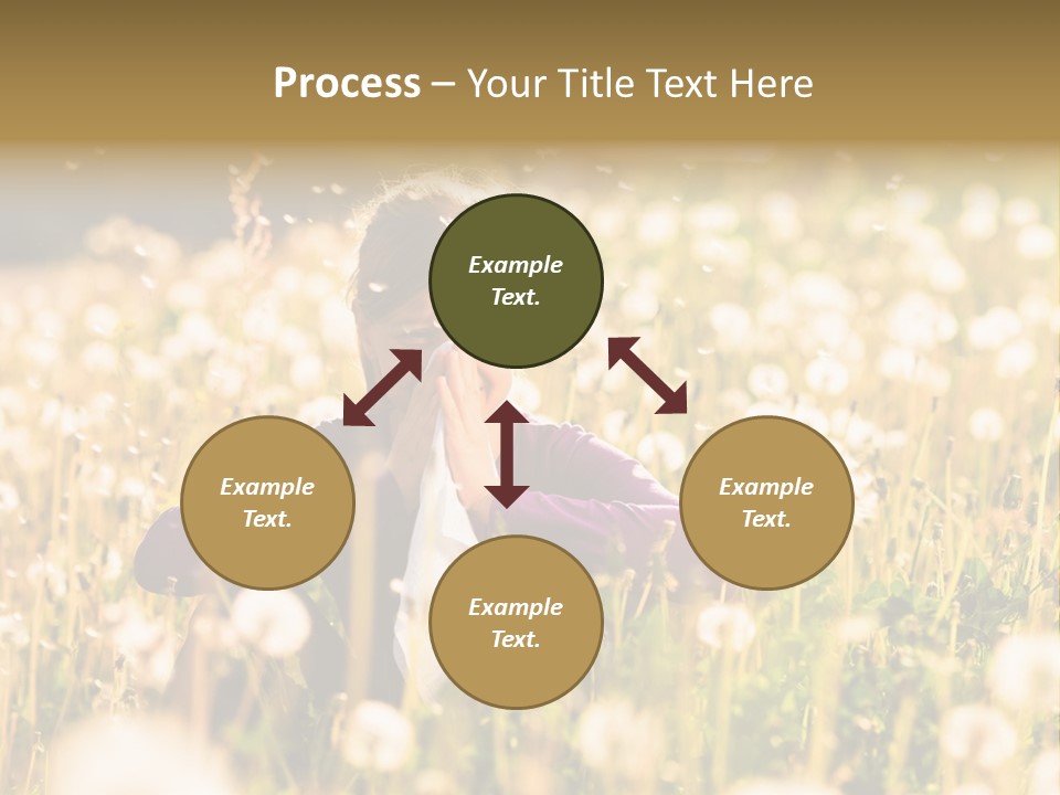 Hawkbit Allergy Happiness PowerPoint Template
