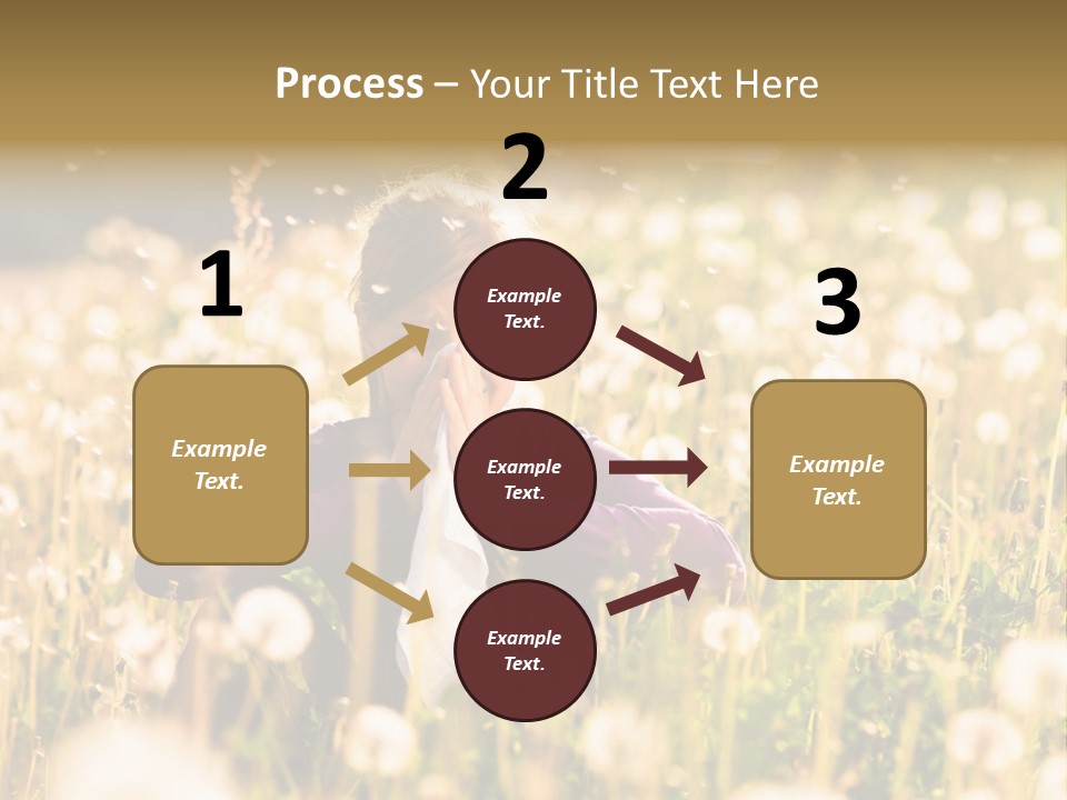 Hawkbit Allergy Happiness PowerPoint Template