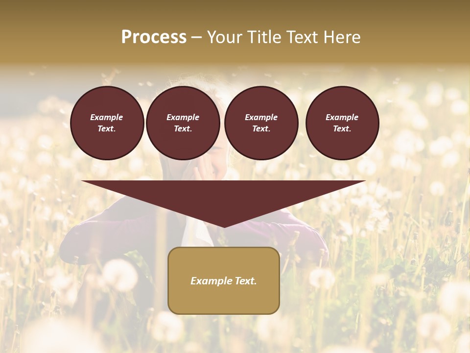 Hawkbit Allergy Happiness PowerPoint Template