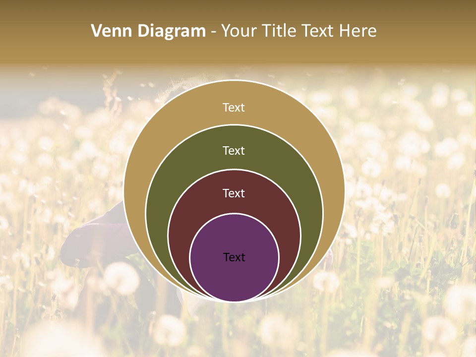 Hawkbit Allergy Happiness PowerPoint Template