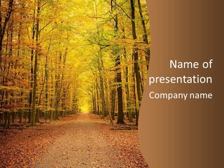 A Road In The Middle Of A Forest With Yellow Trees PowerPoint Template