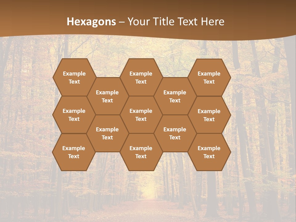 A Road In The Middle Of A Forest With Yellow Trees PowerPoint Template