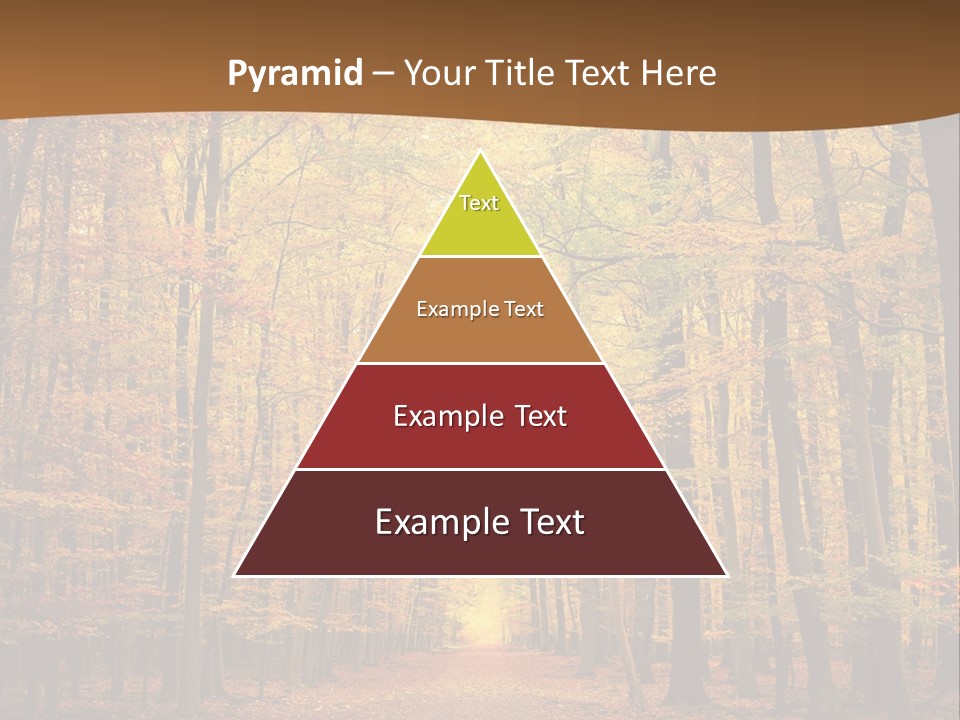 A Road In The Middle Of A Forest With Yellow Trees PowerPoint Template
