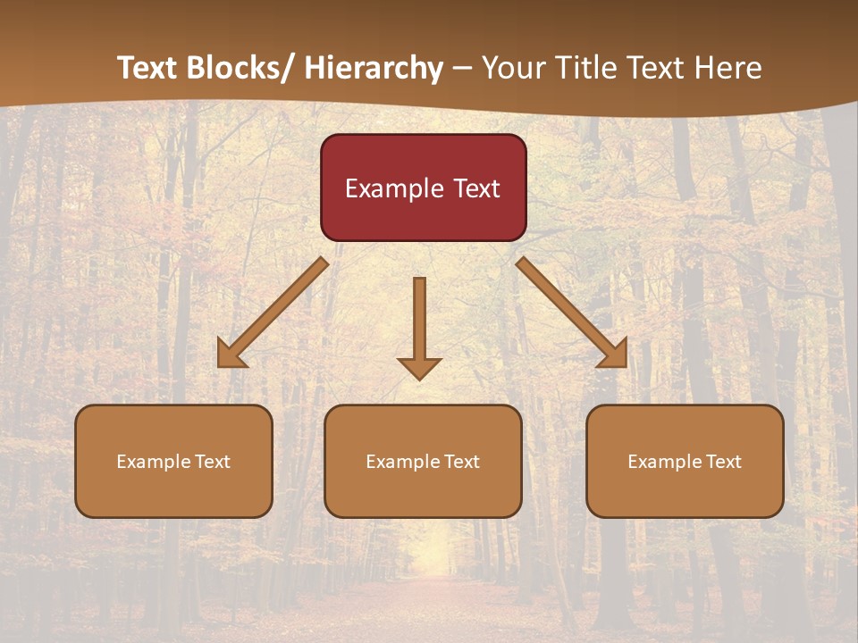 A Road In The Middle Of A Forest With Yellow Trees PowerPoint Template