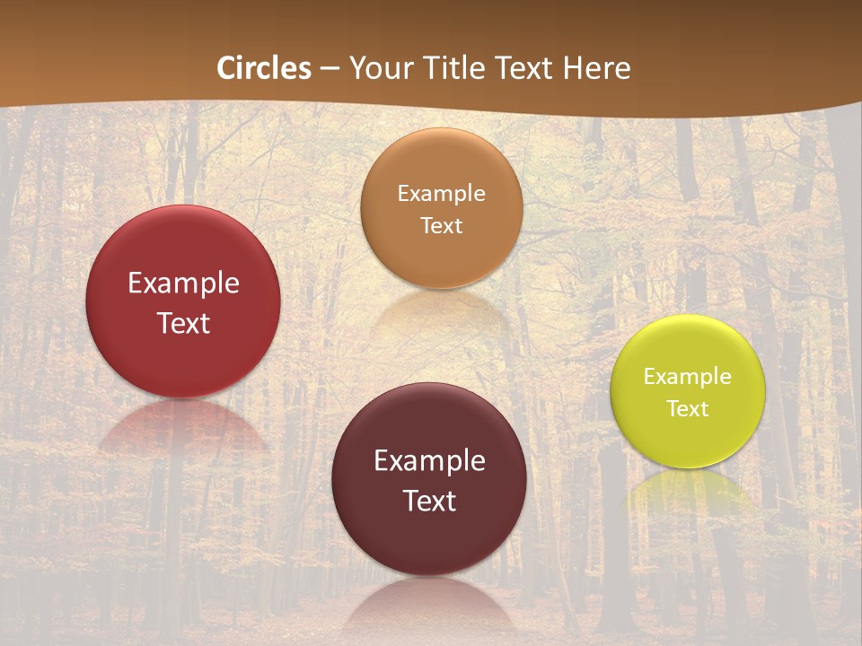 A Road In The Middle Of A Forest With Yellow Trees PowerPoint Template