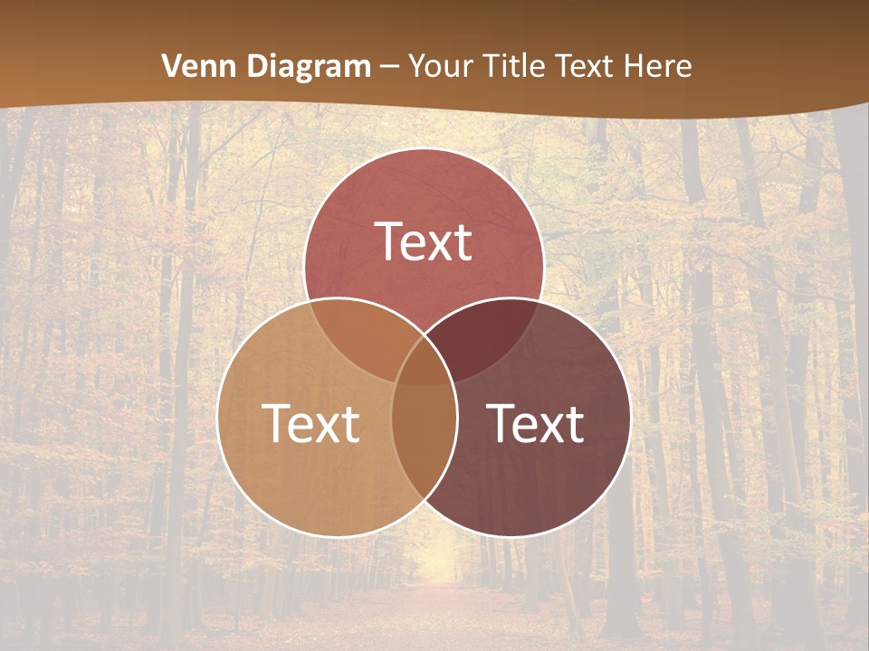 A Road In The Middle Of A Forest With Yellow Trees PowerPoint Template