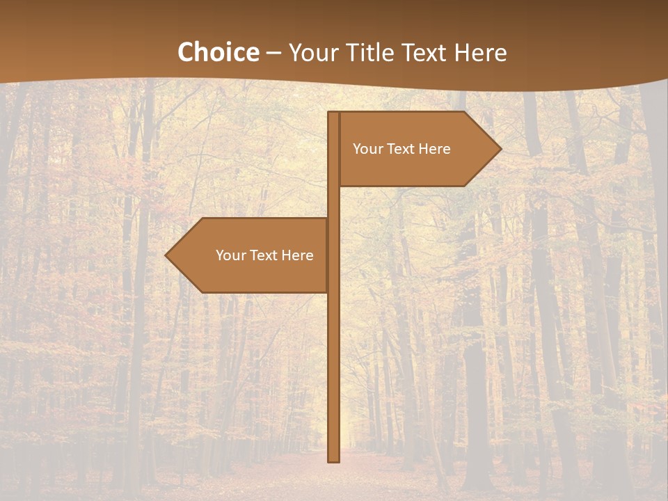 A Road In The Middle Of A Forest With Yellow Trees PowerPoint Template