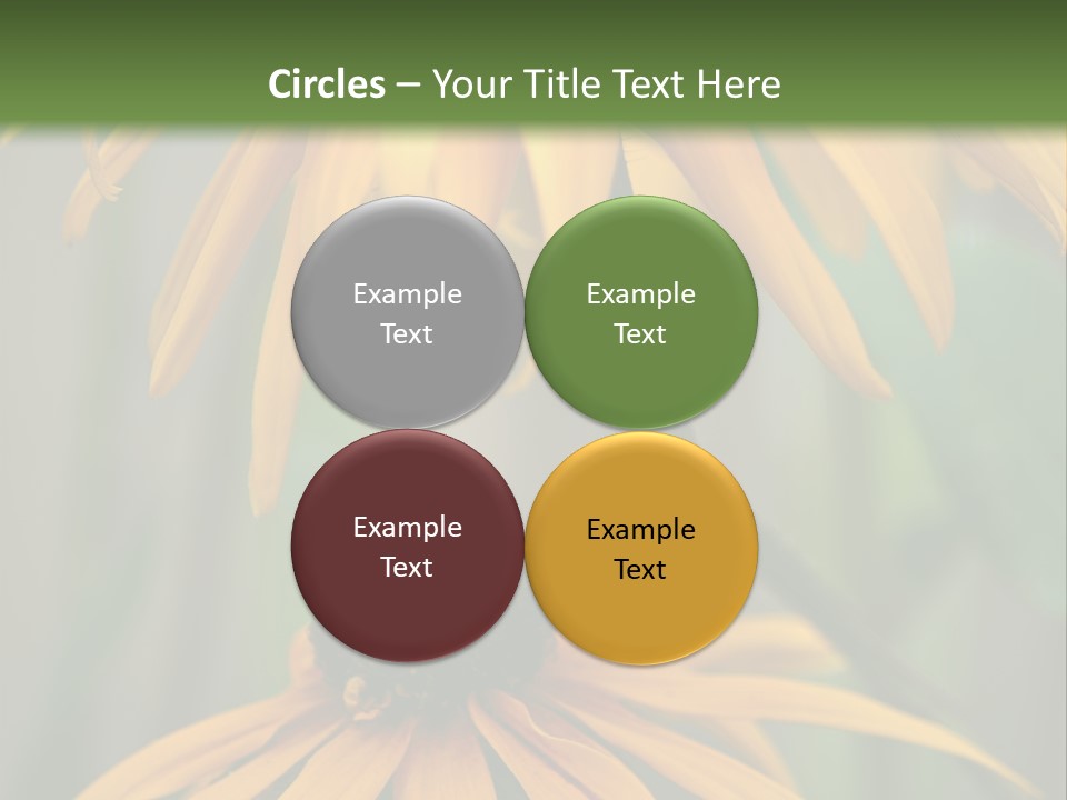 Beauty Spring Background PowerPoint Template