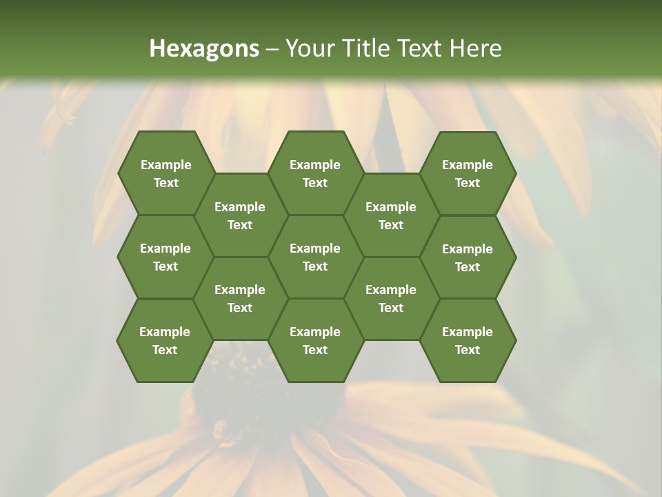 Beauty Spring Background PowerPoint Template