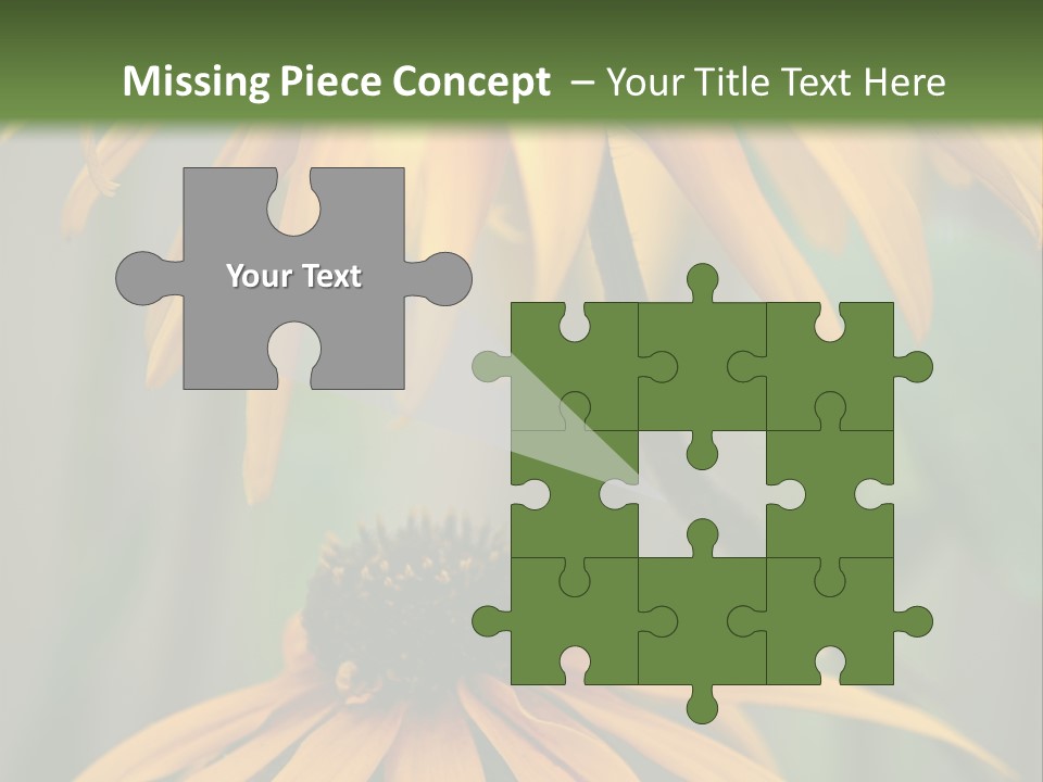 Beauty Spring Background PowerPoint Template