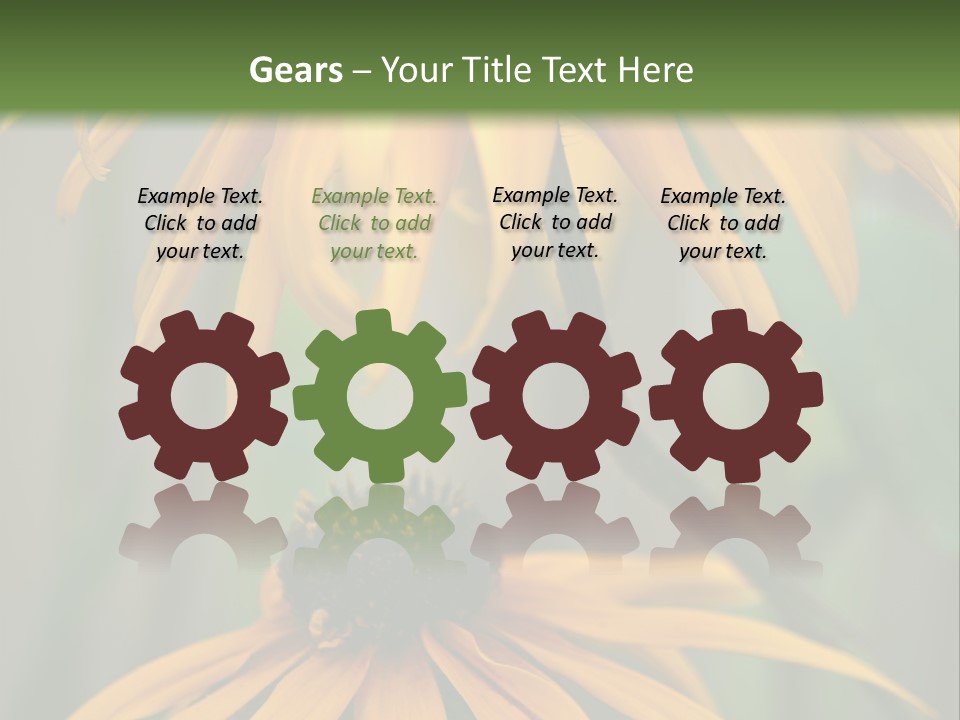 Beauty Spring Background PowerPoint Template