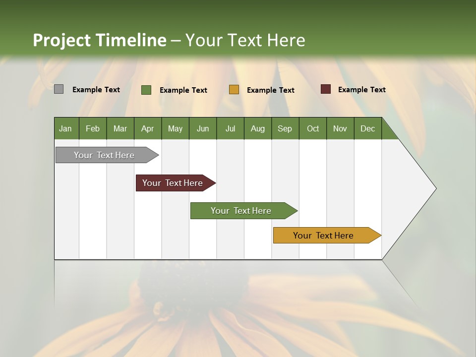 Beauty Spring Background PowerPoint Template