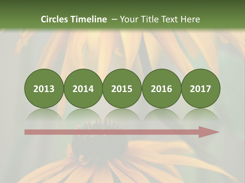 Beauty Spring Background PowerPoint Template