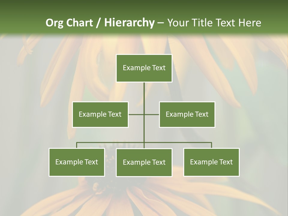 Beauty Spring Background PowerPoint Template