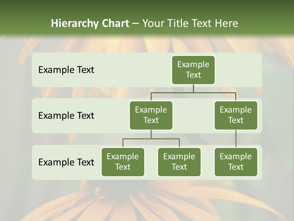 Beauty Spring Background PowerPoint Template