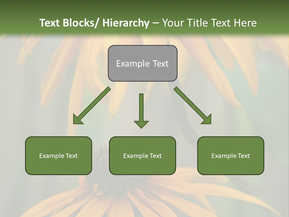 Beauty Spring Background PowerPoint Template