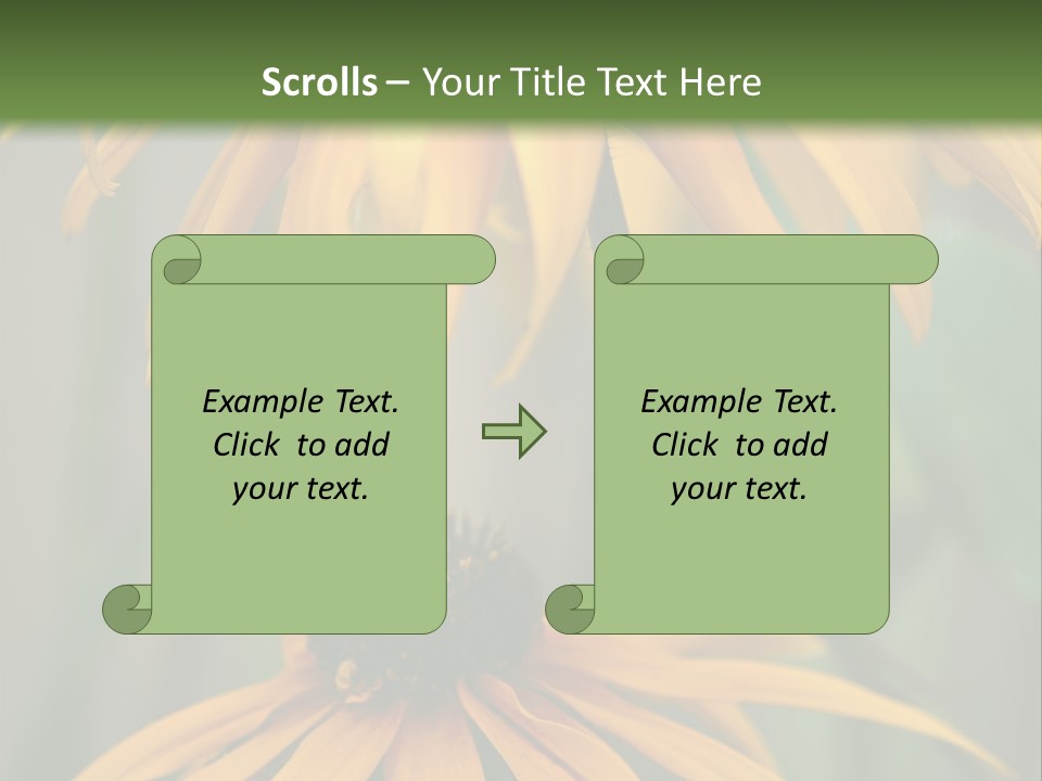 Beauty Spring Background PowerPoint Template