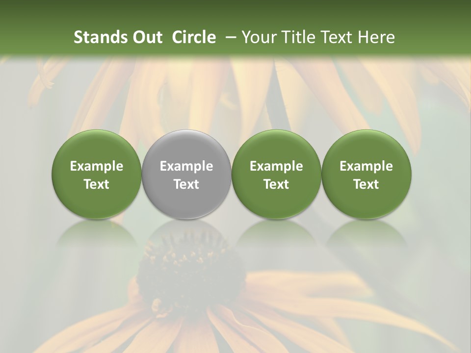 Beauty Spring Background PowerPoint Template